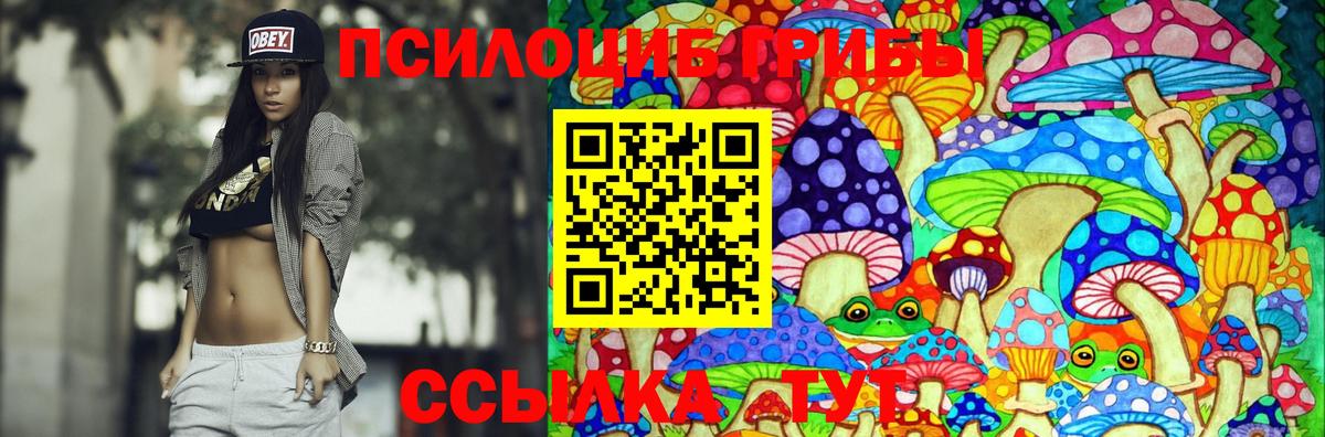 закладка  Псилоцибиновые грибы Psilocybine cubensis  Вход с VPN  Карачаевск 