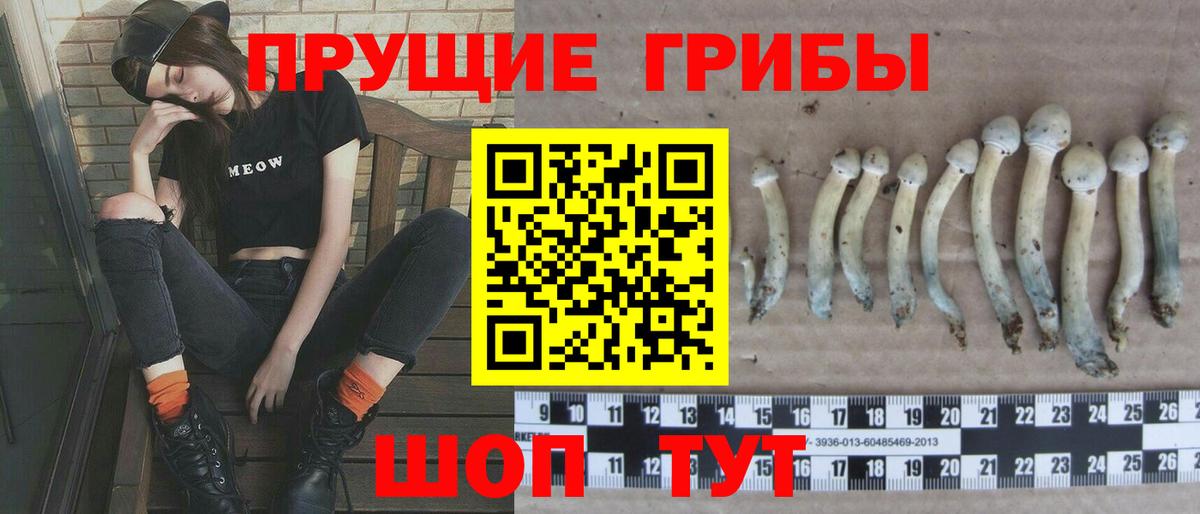 Галлюциногенные грибы Cubensis Карачаевск